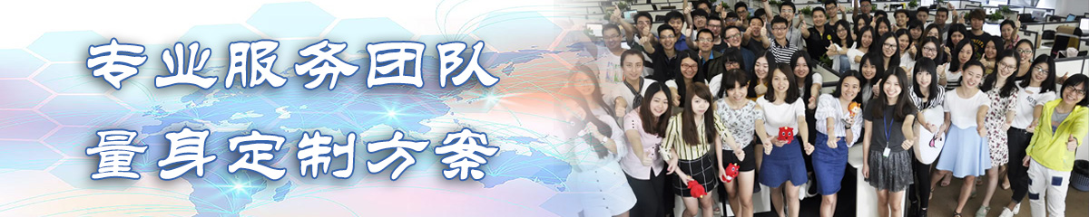 乐山BI软件
